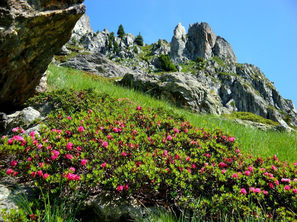 Auberge La Douce Montagne Альмон Экстерьер фото