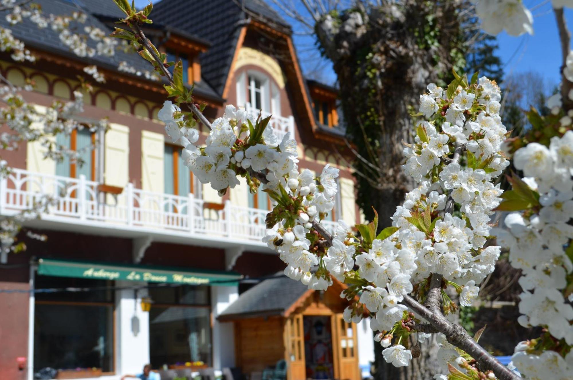 Auberge La Douce Montagne Альмон Экстерьер фото